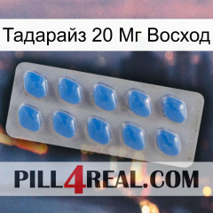 Тадарайз 20 Мг Восход 22